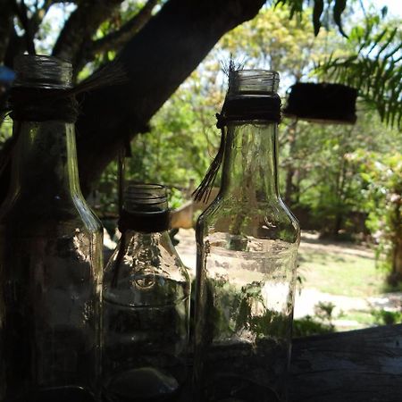 Jacareí Chale Rancho Aratama B&B 외부 사진