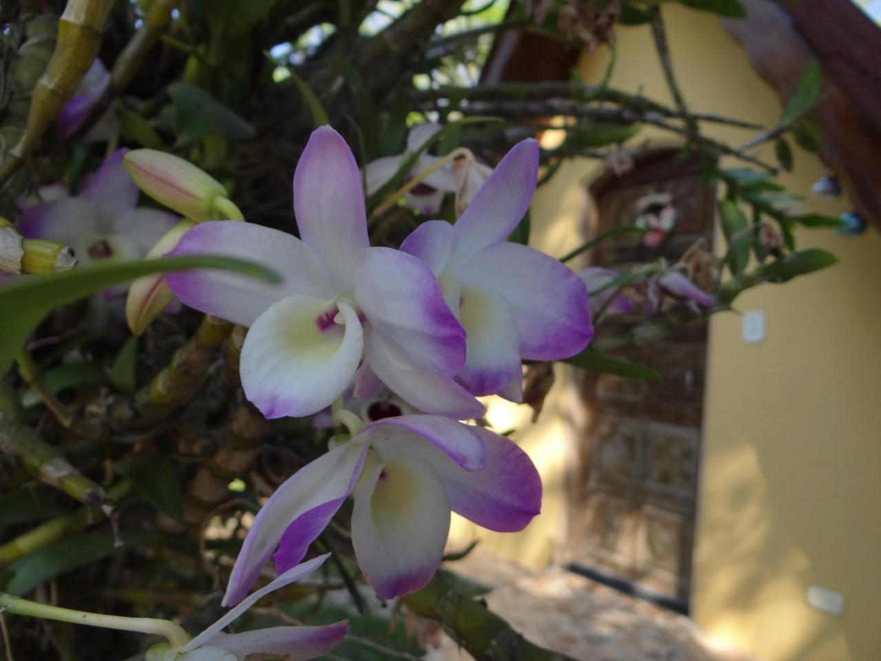 Jacareí Chale Rancho Aratama B&B 외부 사진